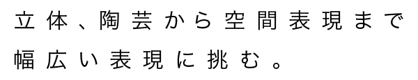 立体、陶芸から空間表現まで幅広い表現に挑む。