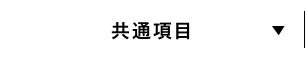 共通項目