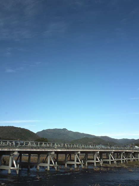 嵐山・元気の花プロジェクト:0