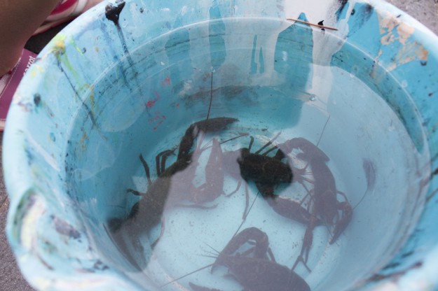 嵯峨芸生の日常-2014.05.09-:11