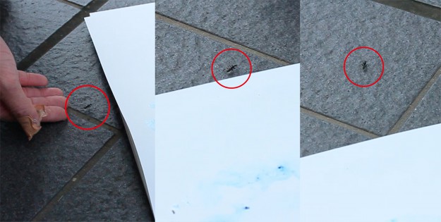 嵯峨芸生の日常-2014.05.09-:1