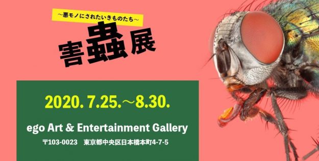 卒業生藤原正和さんが「害蟲展〜悪モノにされたいきものたち〜」（ 7/25～8/30）で優秀賞を受賞され、東京・ego Art & Entertanment Galleryで作品が展示されます。1