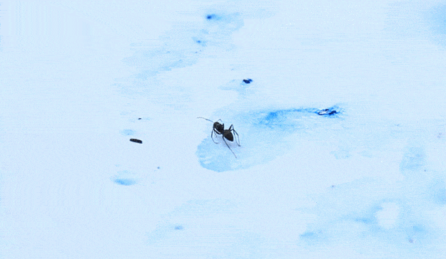 嵯峨芸生の日常-2014.05.09-:2