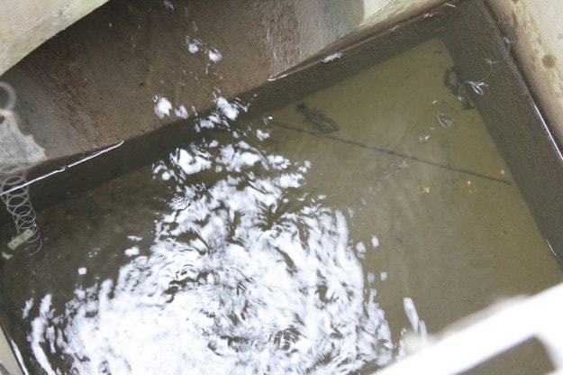 嵯峨芸生の日常-2014.05.09-:5