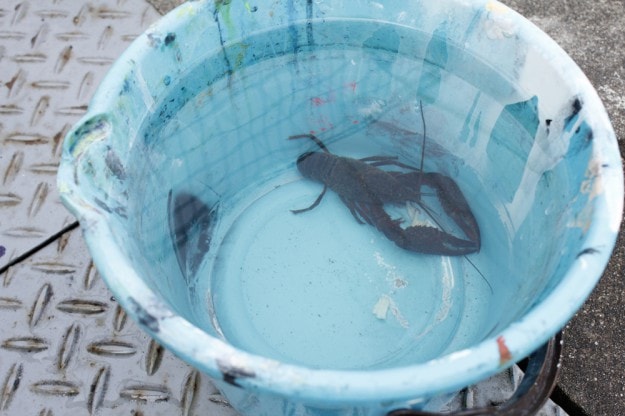 嵯峨芸生の日常-2014.05.09-:7