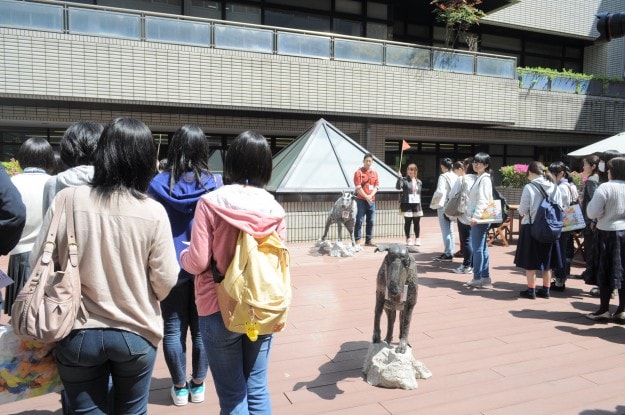 今週日曜日は「嵯峨芸、夏のオープンキャンパス」です!!:1