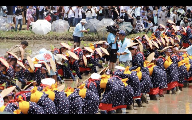 「馬探2025～地域の馬の歴史・文化探究コンテスト～」において、峨美術大学観光デザイン領域の鶴田小雪さんが、「特別賞　株式会社アイスタット賞」を受賞されました。0