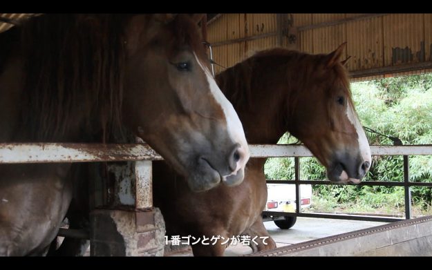「馬探2025～地域の馬の歴史・文化探究コンテスト～」において、峨美術大学観光デザイン領域の鶴田小雪さんが、「特別賞　株式会社アイスタット賞」を受賞されました。1