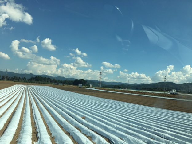 客員教授 下田ひかり展「死と再生のカタストロフィ」レポート:1