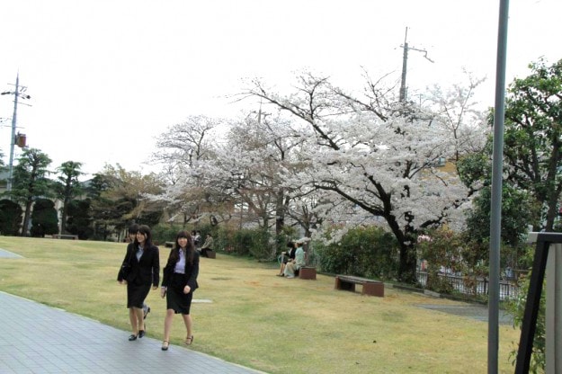 2014年度 入学式・大覚寺見学会:0