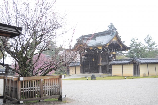 新年度がやってきました。:8