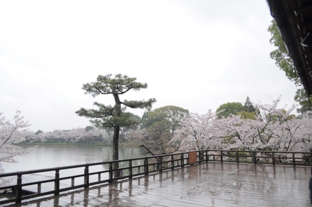 新年度がやってきました。:11