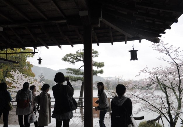 新年度がやってきました。:12