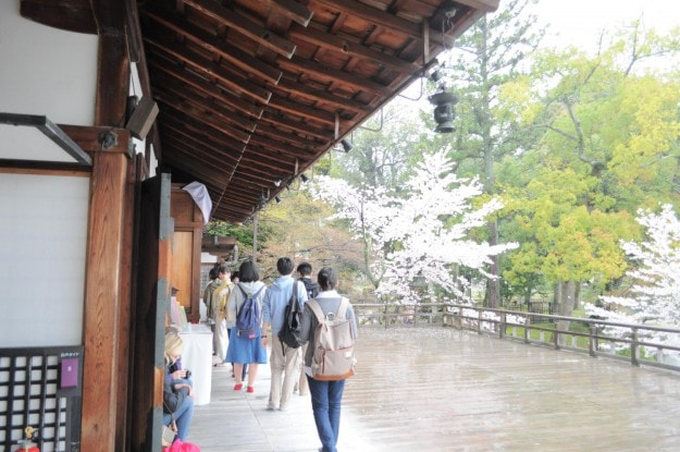 新年度がやってきました。:10