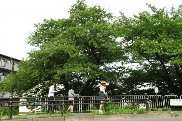 「さがくせい。の日常~河童伝説の真相を追って~前編」:1