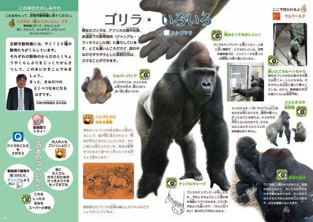 芸術学部池田泰子教授が小学生対象「京都市動物園みんながつくるワークブック２０２１」を制作しました。1