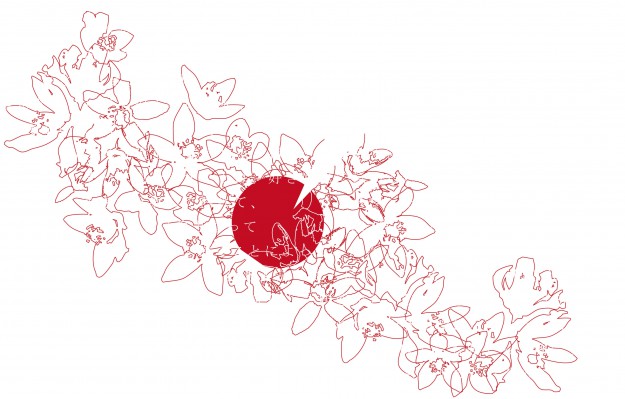 「芸術の力」12　「美しい」（2）:0