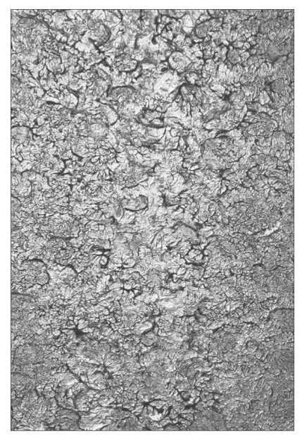 【4/18~5/23】非常勤講師の池上恵一さんがGallery Nomart(大阪)にて個展「いまここ」を開催されます。0