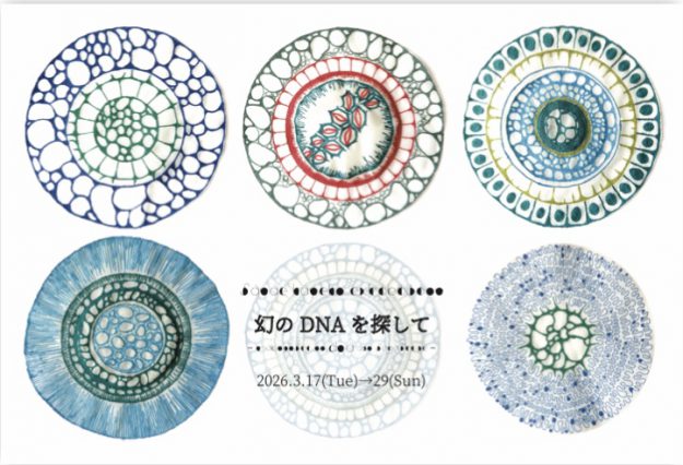 【3/17~3/29】金子咲菜恵さん(2013年 京都嵯峨芸術大学卒)が同時代ギャラリー(京都)で個展「幻のDNAを探して」を開催されます。0